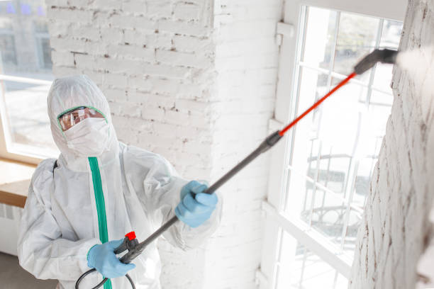 Best Residential Mold Inspection & Testing  in North Star, DE